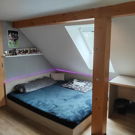 Svratouch Prázdninový dům Svratouch